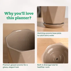 Diamond Ceramic Pot