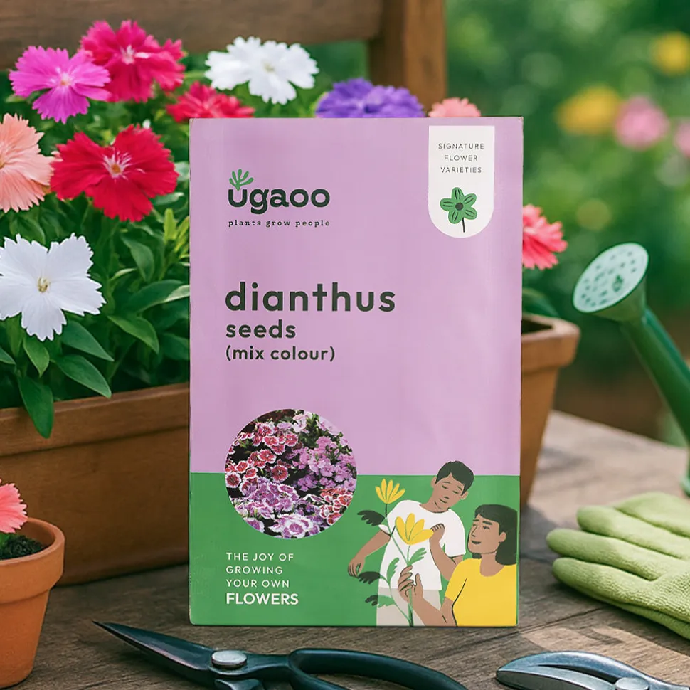 Dianthus Mix Seeds