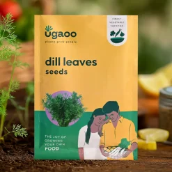 Dill Leaves Seeds (Suwa)