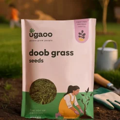 Doob Grass Seeds (Carpet Lawn)