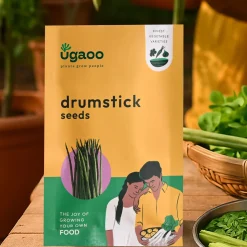 Drumstick Seeds (Moringa)