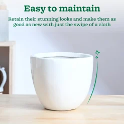 Echoing Eternity Ceramic Planter