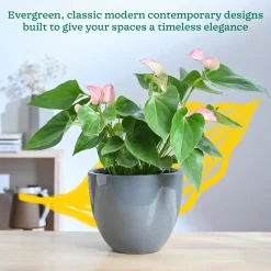 Echoing Eternity Ceramic Planter