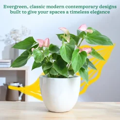 Echoing Eternity Ceramic Planter