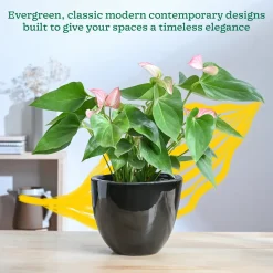 Echoing Eternity Ceramic Planter