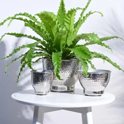 Elegance Planter