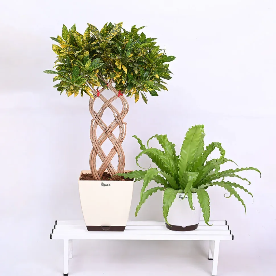 Elevate Plant Stand Set of 2