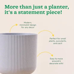Erika Planter