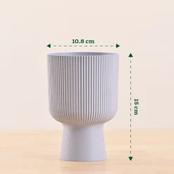Erika Planter