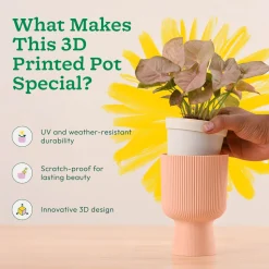 Erika Planter