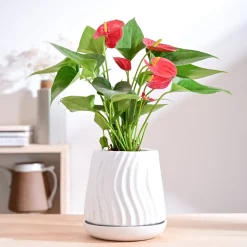 Fallen Angel Ceramic Planter