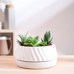 Fallen Angel Ceramic Planter