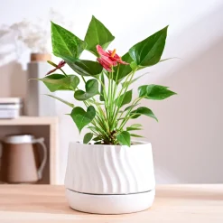 Fallen Angel Ceramic Planter