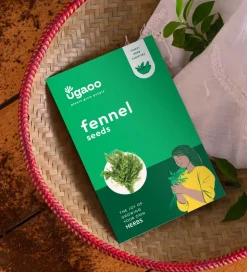 Fennel Seeds