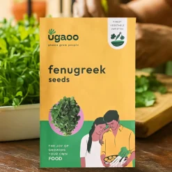 Fenugreek Seeds (Methi)