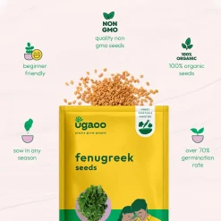 Fenugreek Seeds (Methi)