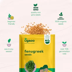 Fenugreek Seeds (Methi)