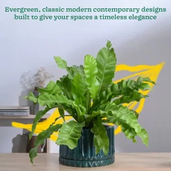Fleeting Bliss Ceramic Planter