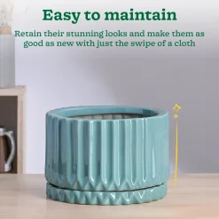 Fleeting Bliss Ceramic Planter