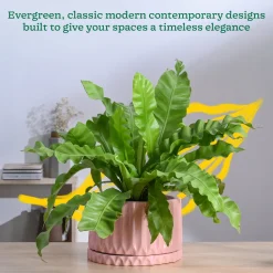 Fleeting Bliss Ceramic Planter