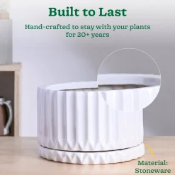 Fleeting Bliss Ceramic Planter