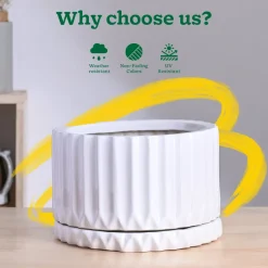 Fleeting Bliss Ceramic Planter