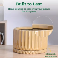 Fleeting Bliss Ceramic Planter