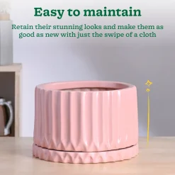 Fleeting Bliss Ceramic Planter