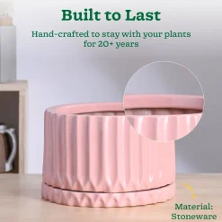 Fleeting Bliss Ceramic Planter