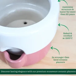 Flower Sunflower Ceramic Planter