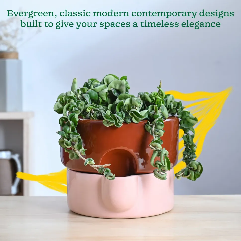 Flower Sunflower Ceramic Planter