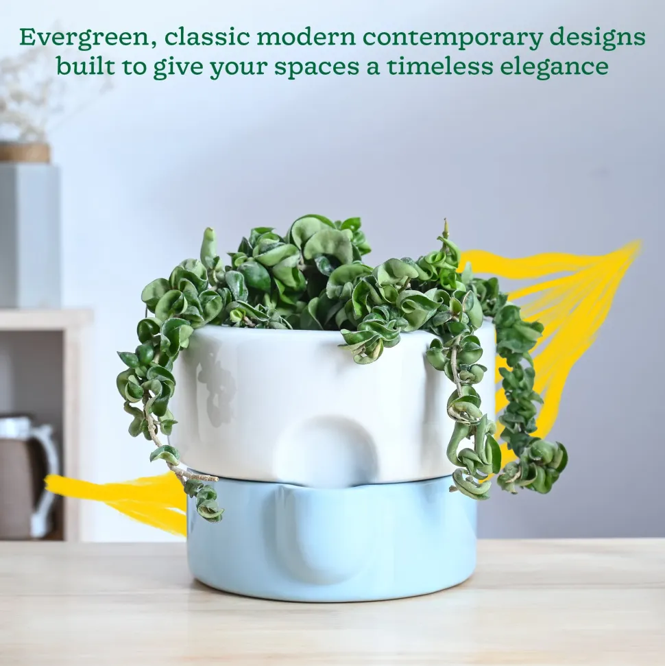 Flower Sunflower Ceramic Planter