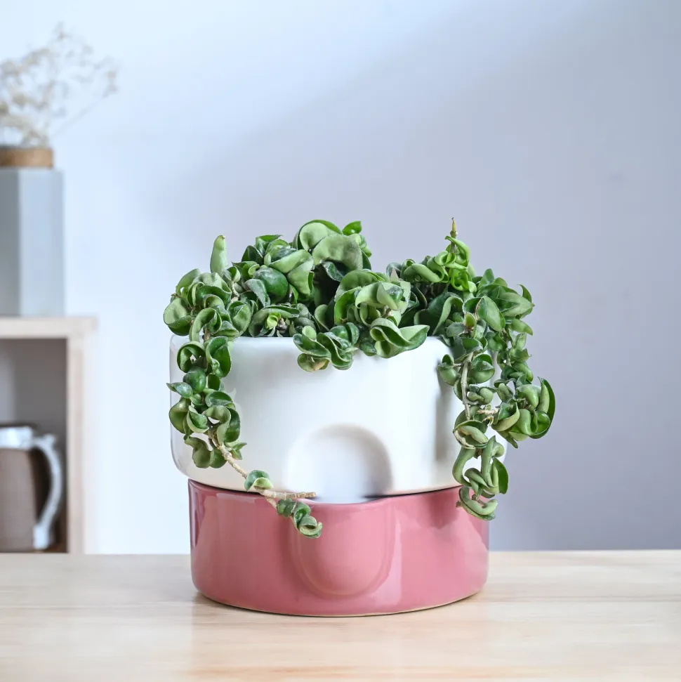 Flower Sunflower Ceramic Planter