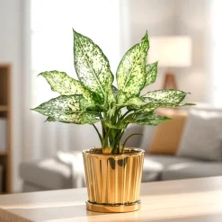Fluted ceramic pot- 5 inch