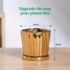 Fluted ceramic pot- 5 inch