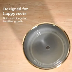 Fluted ceramic pot- 5 inch
