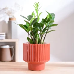 Forms of Love Ceramic Planter