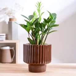 Forms of Love Ceramic Planter