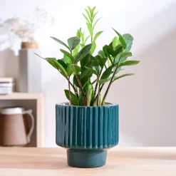 Forms of Love Ceramic Planter