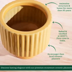 Forms of Love Ceramic Planter