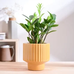 Forms of Love Ceramic Planter