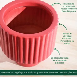 Forms of Love Ceramic Planter