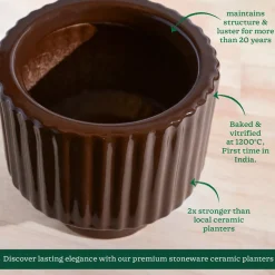 Forms of Love Ceramic Planter