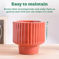 Forms of Love Ceramic Planter