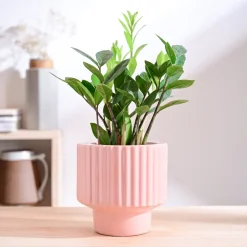 Forms of Love Ceramic Planter