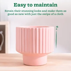Forms of Love Ceramic Planter