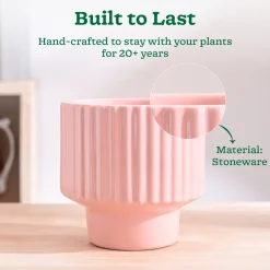Forms of Love Ceramic Planter