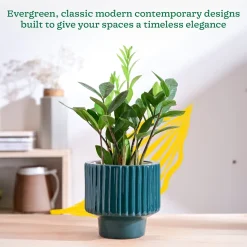 Forms of Love Ceramic Planter