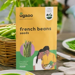 French Bean Seeds