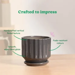 Frosted Ceramic Pot